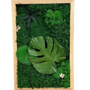 Monstera obraz z machu a rastlín s listom Monstery v drevenom ráme.